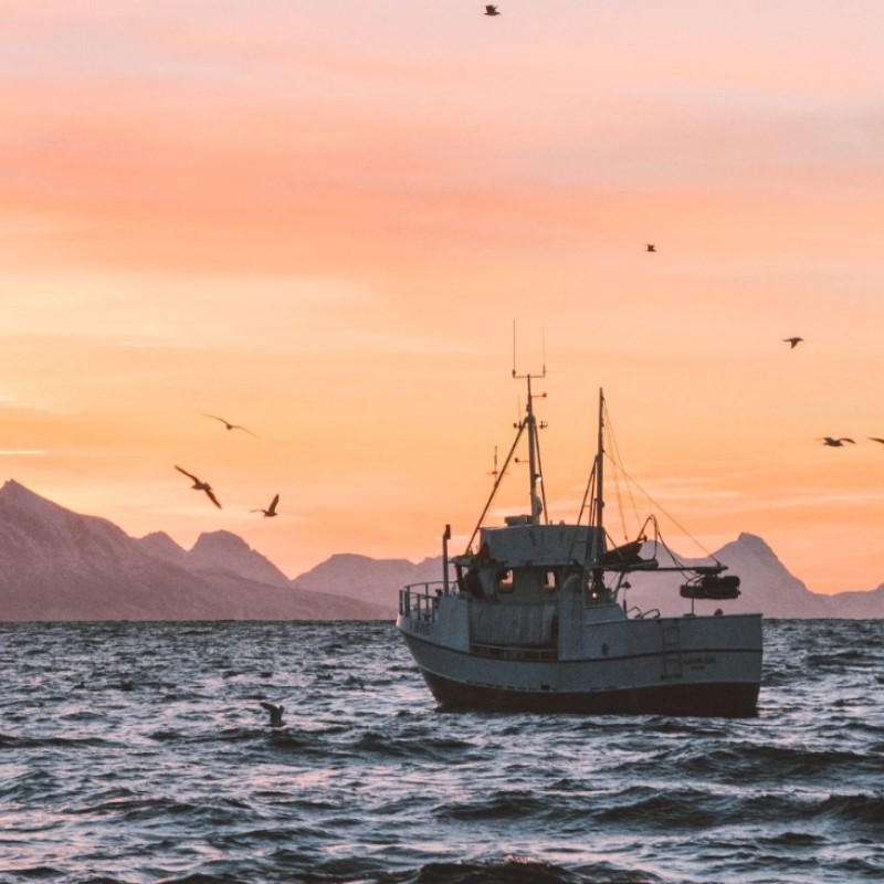 O Brexit e as Pescas – Como estamos? Relatório de Opinião